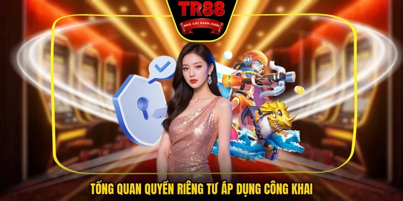 Tổng quan quyền riêng tư áp dụng công khai